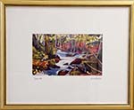 Click here for more information about Cascade,  Framed Print;  Artist,  Michelle Reid